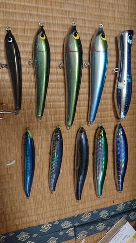 Thunfisch