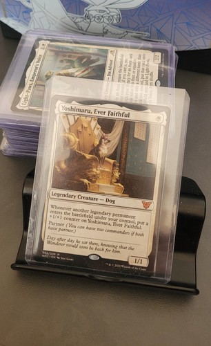 Magic the gathering - magic, karten