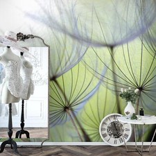 Fototapete Pusteblumen Wohnzimmer Schlafzimmer Grün Vlies Tapete 9002a