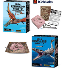 Dig dinosaur skeleton - dinosaur, kit