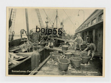 AK Bremerhaven-Fi. --