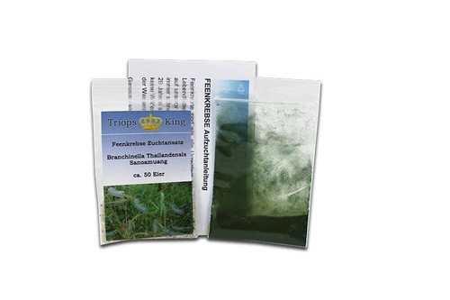 Feenkrebse branchinella - feenkrebse,