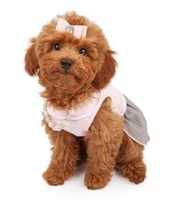 Hunde Aufkleber Sticker Mini