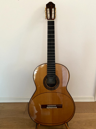 Hopf meistergitarre artista - meistergitarre,