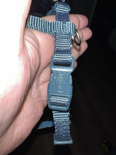 Set welpengeschirre und - set,