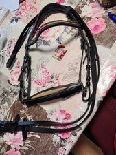 Island Trense Schwarz Beige