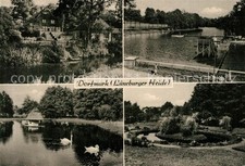 Dorfmark Schwimmbad Schwaene 