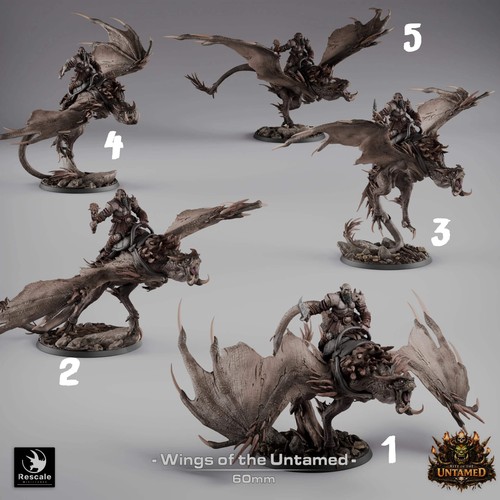 Wyvern wings the - wyvern, untamed