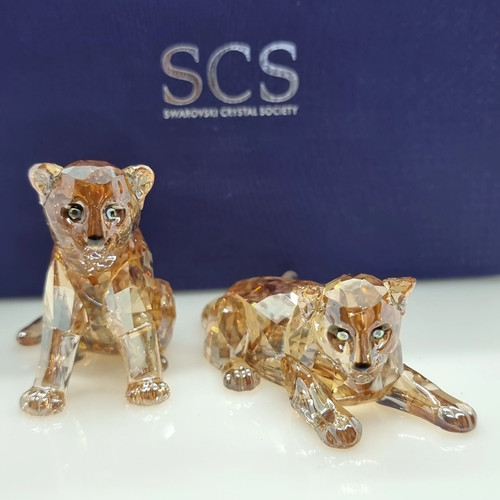 Swarovski scs amur - amur, leoparden