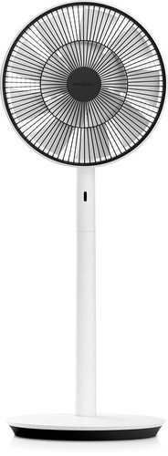 Balmuda the greenfan - the,