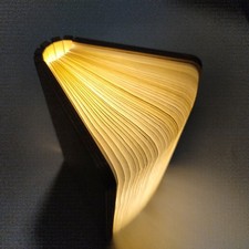 Gingko Desktop Smart Light