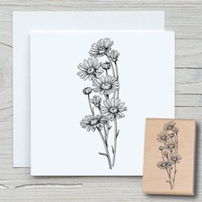 Stempel gänseblumen - stempel,