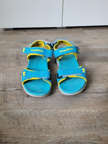Kangaroos jungen sommer - jungen,
