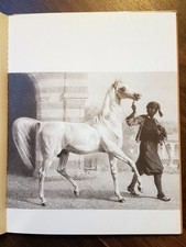 Pferde des Orients * Arabische