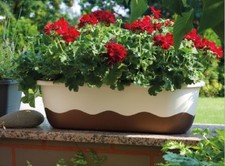Blumenkasten balkonkasten - blumenkasten,