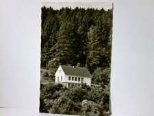 Bad Driburg. Pension Neuhaus. Maria - Theresia - Neuhaus. Alte Ansichtskarte / P