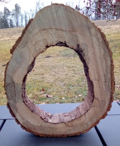 Hohle baumscheibe cm - hohle,