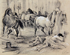 RAR Victor Adam ARABER PFERDE