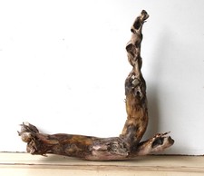 Treibholz Schwemmholz