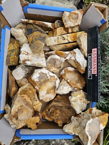 Große kiste holzquerschnitten - große,