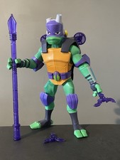 Rise of the Teenage Mutant