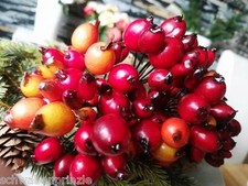 144 x Hagebutten orange