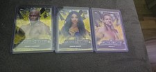 WWE Sasha Banks, Triple H