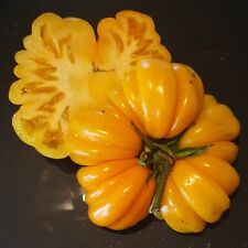 Accordion Orange, Tomatensamen, Fleischtomate, 10⁺ Samen