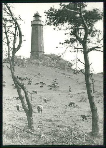 Hiddensee ostsee insel - ak,