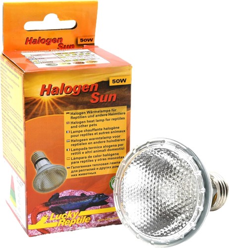 Lucky reptile halogen - reptile,