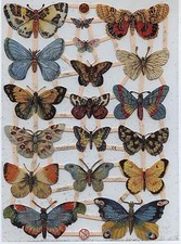 # GLANZBILDER # EF 7297 TOP Schmetterlinge , mit GLIMMER , wunderschön !   #