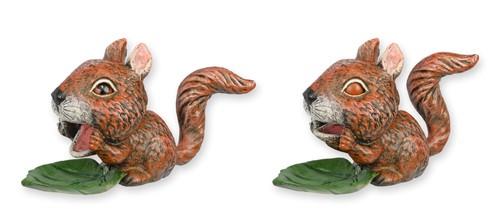 Eichhörnchen nussknacker aus - eichhörnchen,