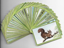 Chlorodont Sammelbilder   - 37 verschiedene Bilder