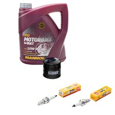 4L ÖL Inspektionspaket für