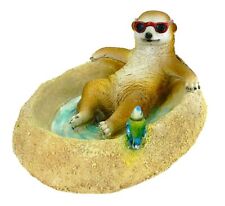 Erdmännchen Eddy Vogeltränke