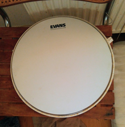 Evans uv2 drumhead zu - 16",