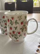 Dunoon becher fruit fayre fine - fruit,