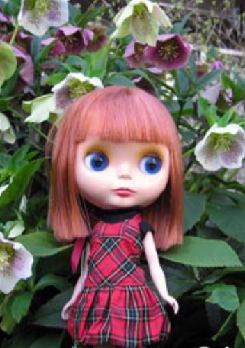 2002 nrfb blythe takara ebl - nrfb,