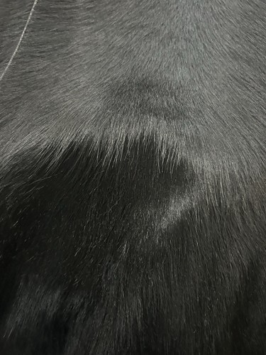 Elegante damenjacke aus echtem - damenjacke,