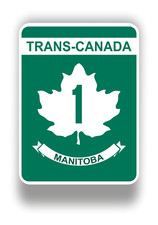 10cm car decal sticker - decal, trans