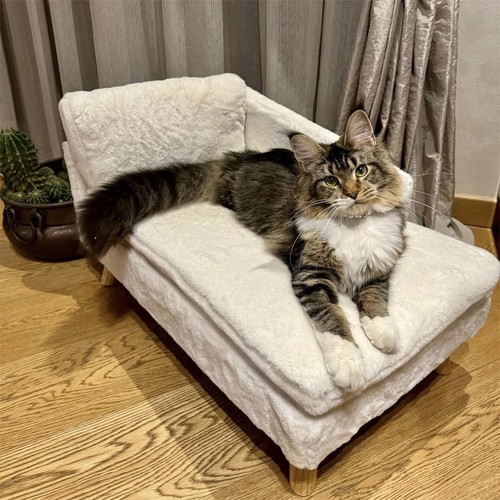 Haustier sofa couch - haustier,