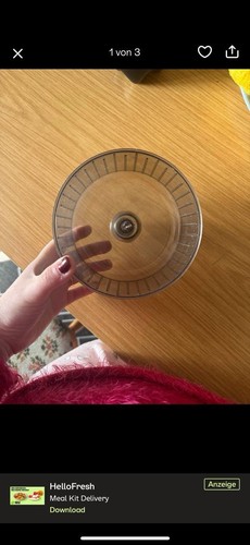 Hamsterrad rad nagetier maus - nagetier,