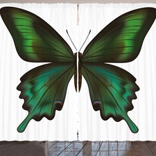 Schwalbenschwanz Schmetterling