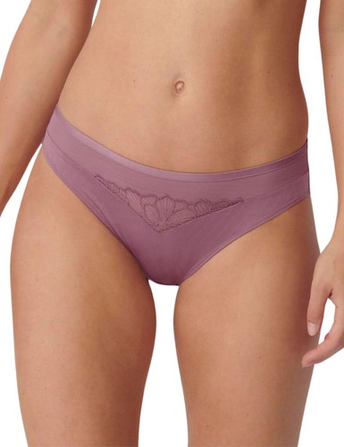 Triumph azalea florale - triumph,