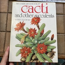 The Colinridge Book Of Cacti and Other Succulents by Thomas C Rochford Hardback