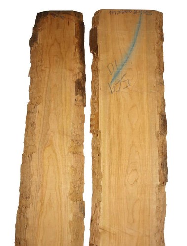 Kirschbaum holz kirschholz - kirschbaum,