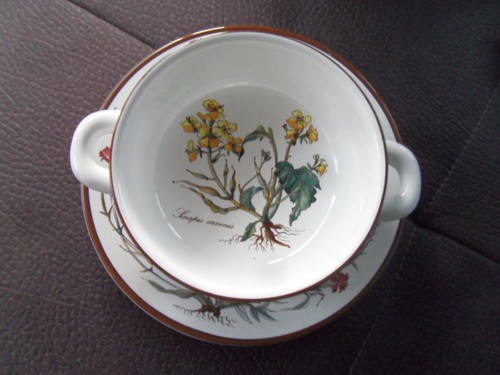 Villeroy boch botanica - villeroy, &