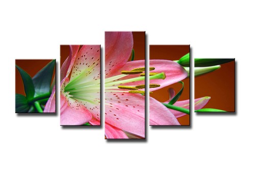 Bild tlg lilie visario - bild,