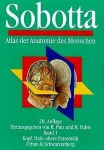 Atlas der anatomie des - der,