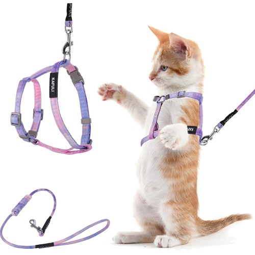 Katzengeschirr set leine - katzengeschirr,